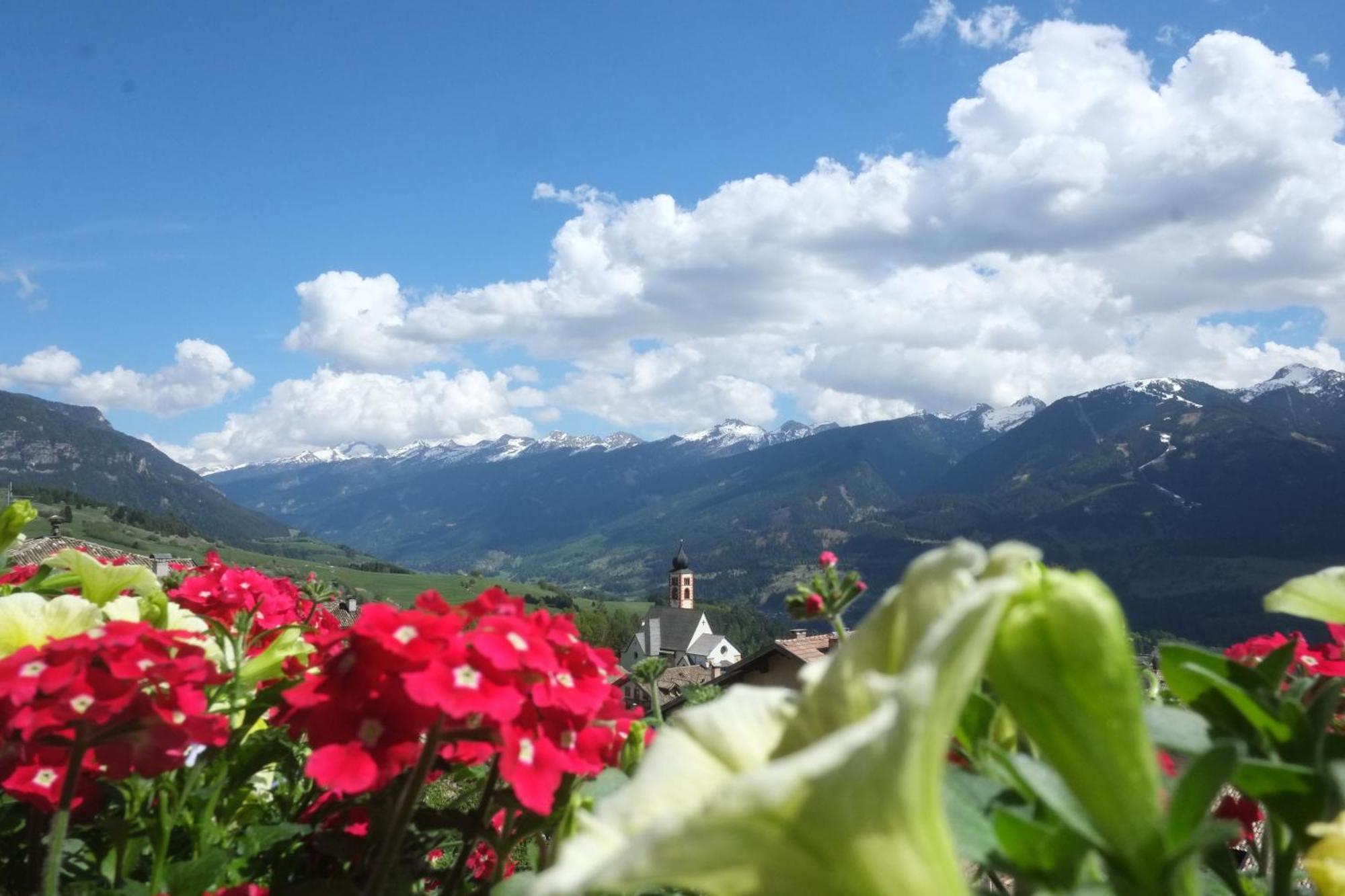 Residence Miramonti Daiano Dış mekan fotoğraf